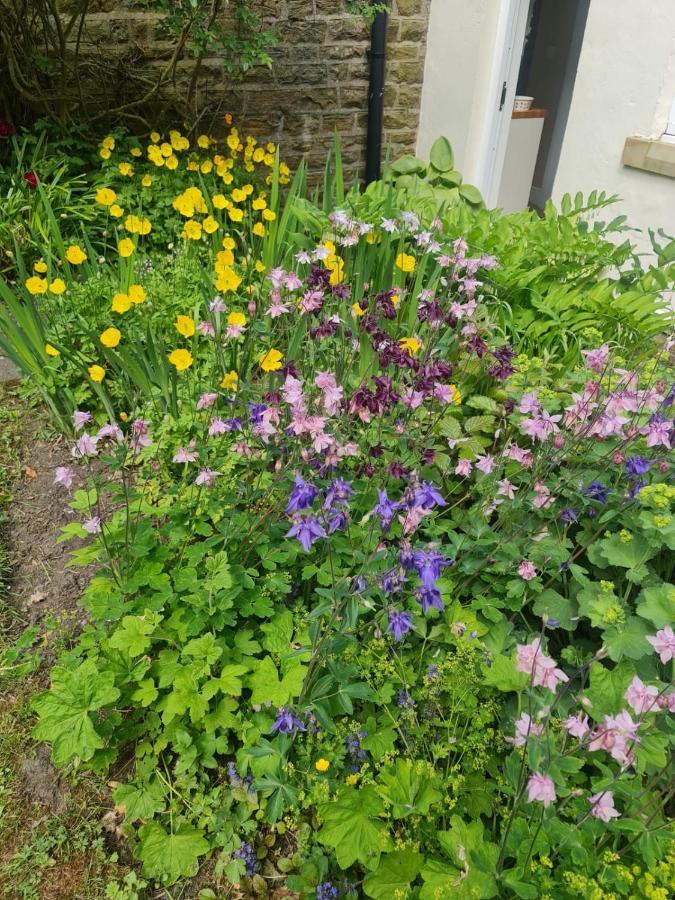 Mayfield Cottage Burtree Ford 외부 사진