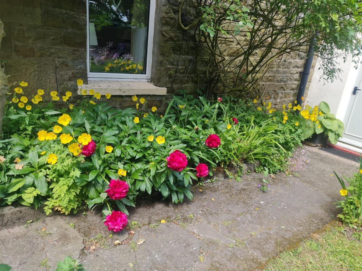 Mayfield Cottage Burtree Ford 외부 사진