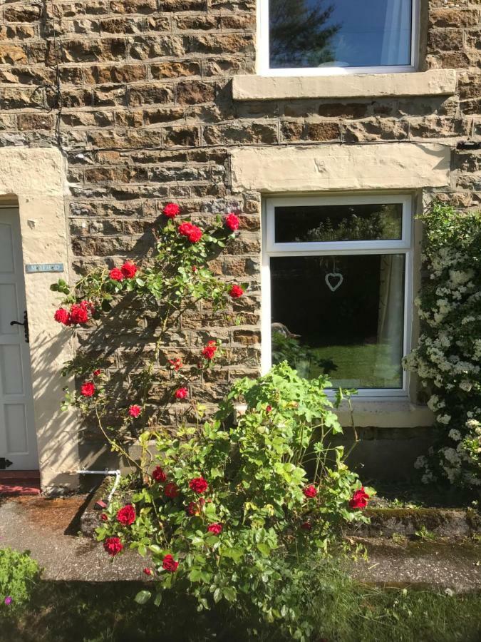 Mayfield Cottage Burtree Ford 외부 사진